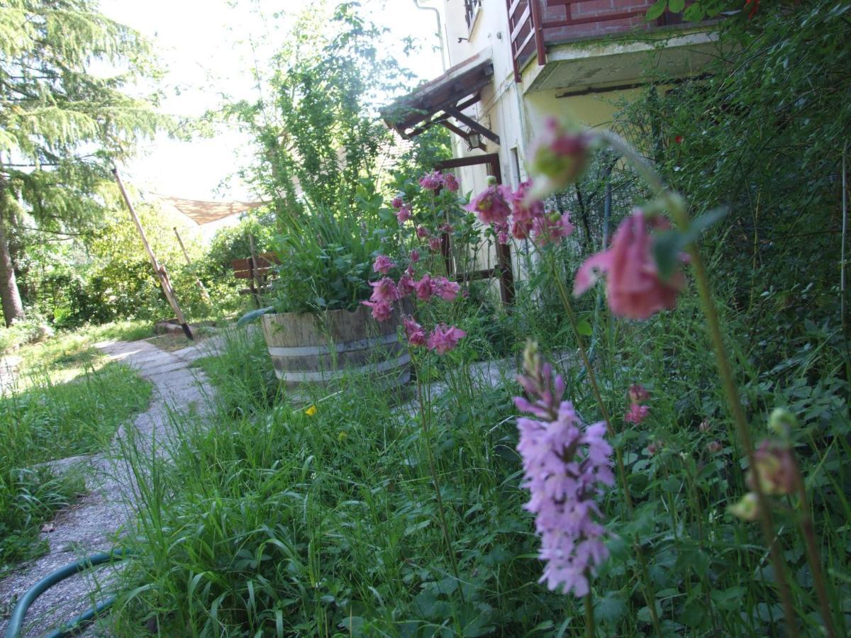 Vacanze Toscane In The Country - Villa Agrifogli Sassetta Luaran gambar