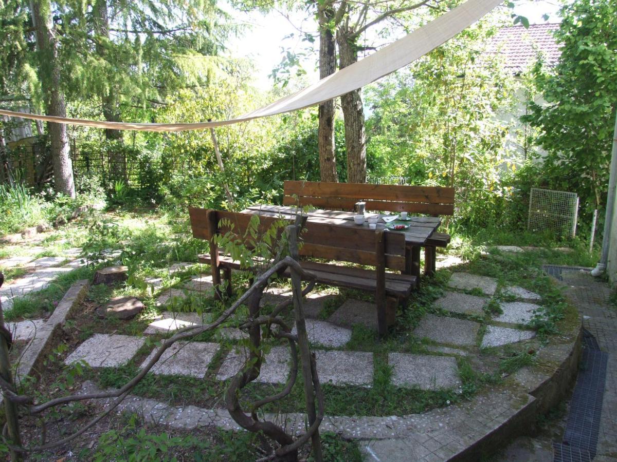 Vacanze Toscane In The Country - Villa Agrifogli Sassetta Luaran gambar