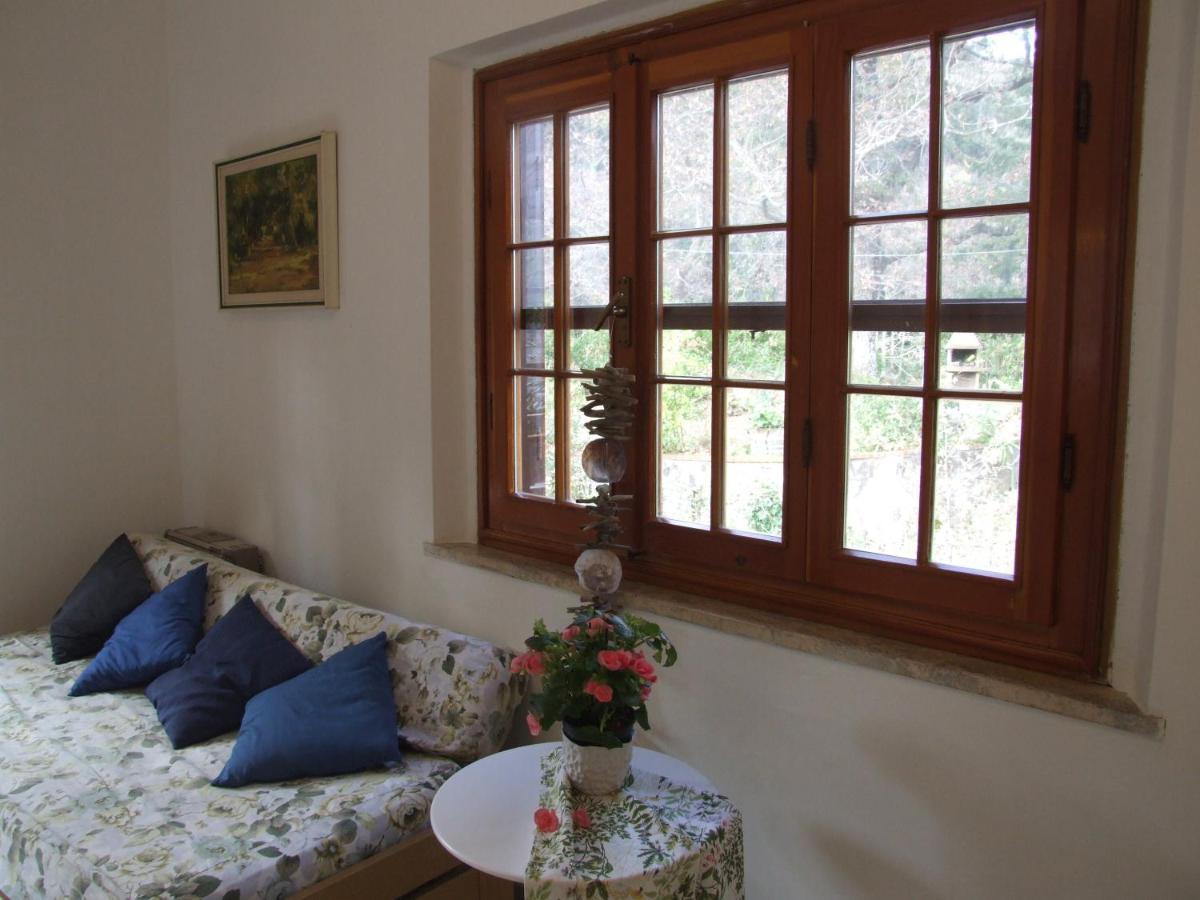 Vacanze Toscane In The Country - Villa Agrifogli Sassetta Luaran gambar