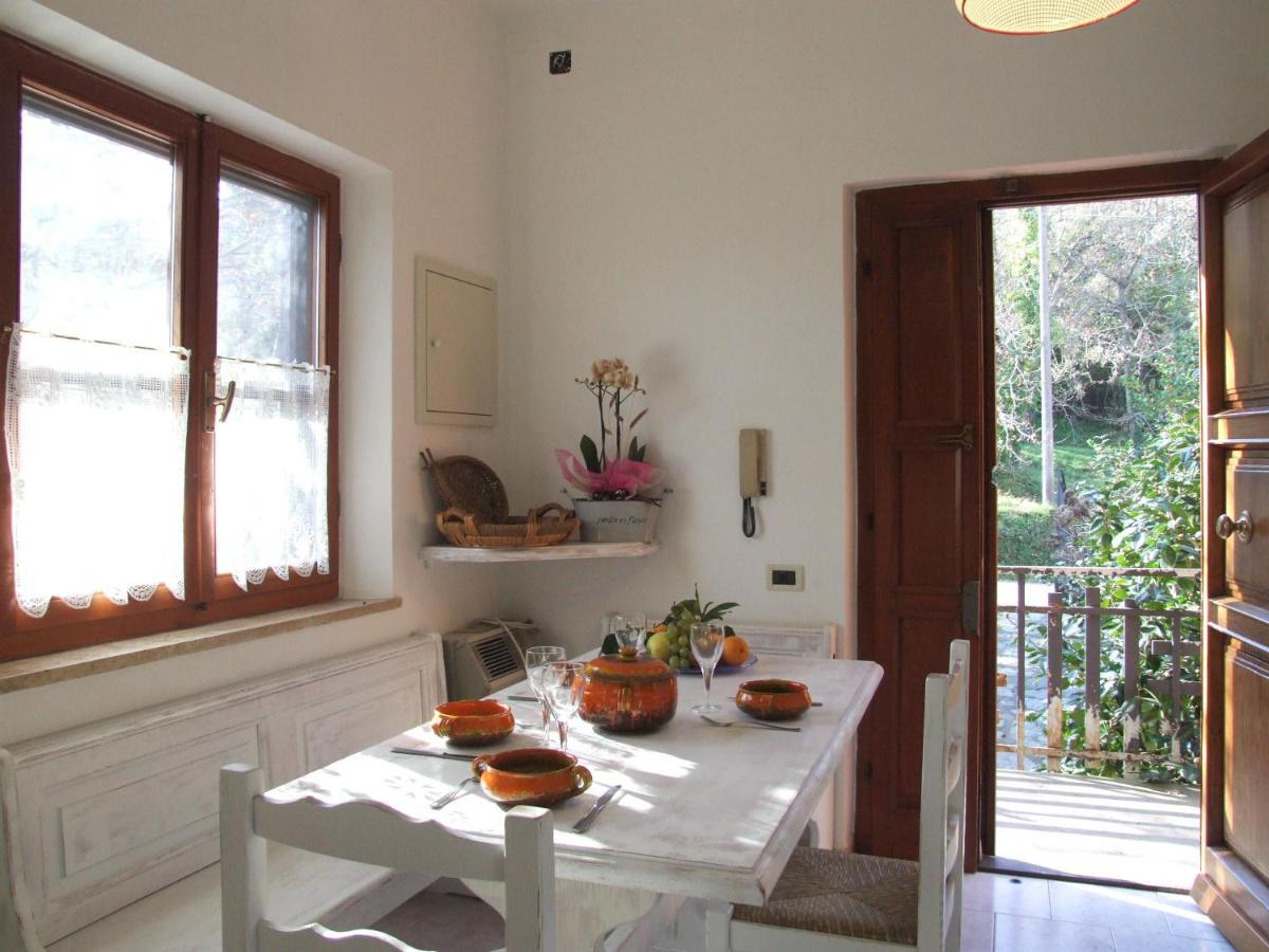 Vacanze Toscane In The Country - Villa Agrifogli Sassetta Luaran gambar